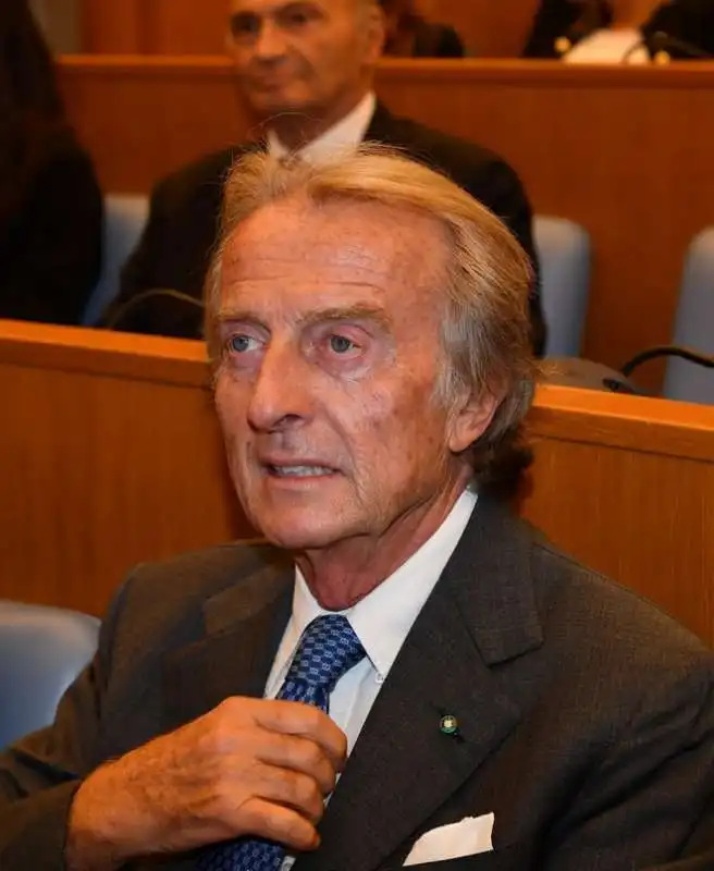 luca cordero di montezemolo (3)