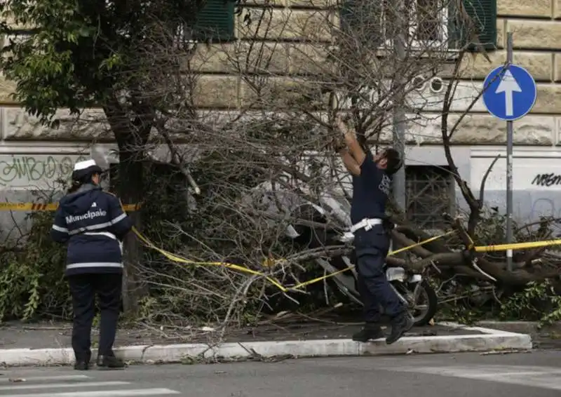 alberi crollati a roma 11