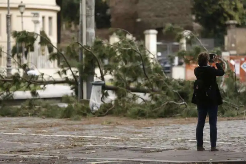 alberi crollati a roma 14