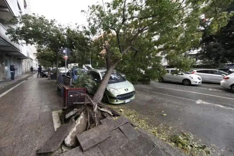 alberi crollati a roma 20