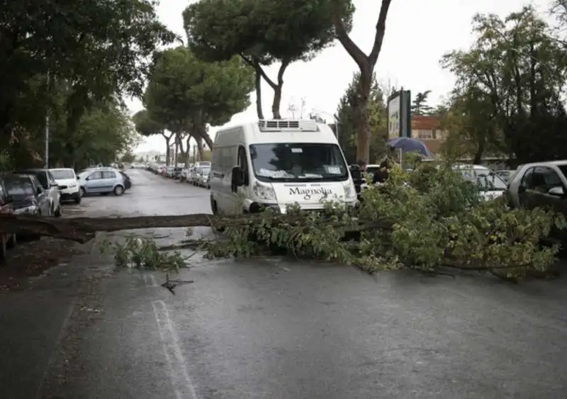 alberi crollati a roma 21