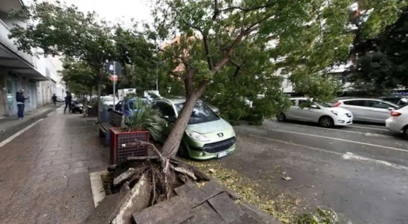 alberi crollati a roma 4