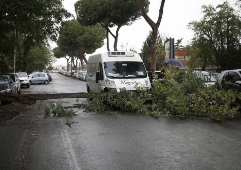 alberi crollati a roma 5