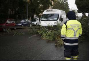 alberi crollati a roma 6