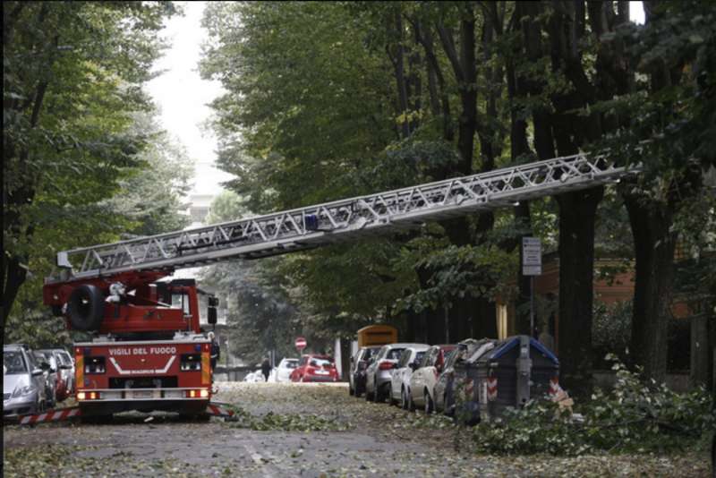 alberi crollati a roma 8