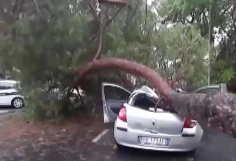 degrado a roma   albero sull auto