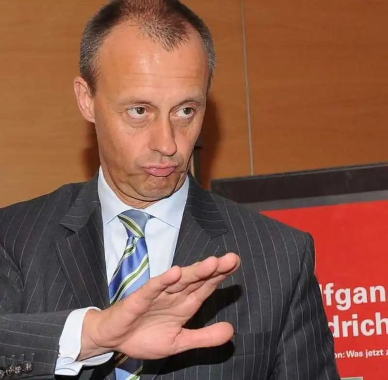 friedrich  merz 