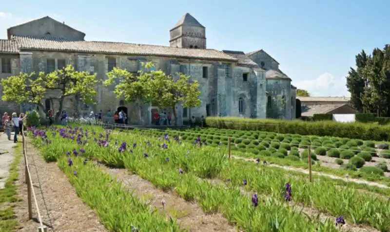 il manicomio di saint paul de mausole 1