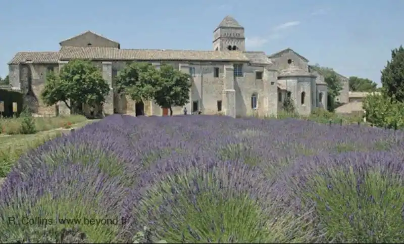 il manicomio di saint paul de mausole 2