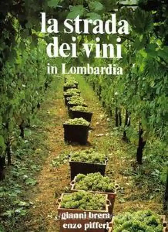 La strada dei vini in Lombardia