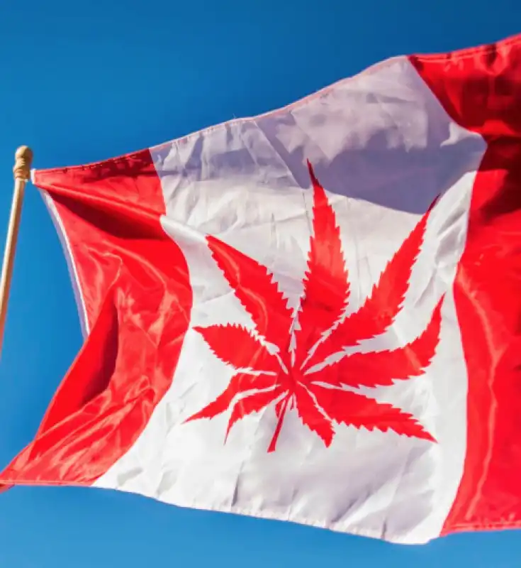 LEGALIZZAZIONE MARIJUANA IN CANADA