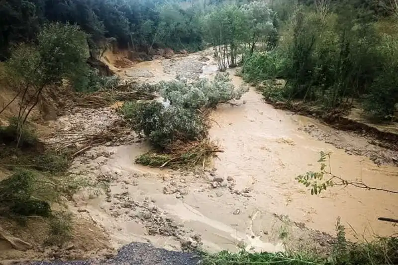 maltempo in calabria 8