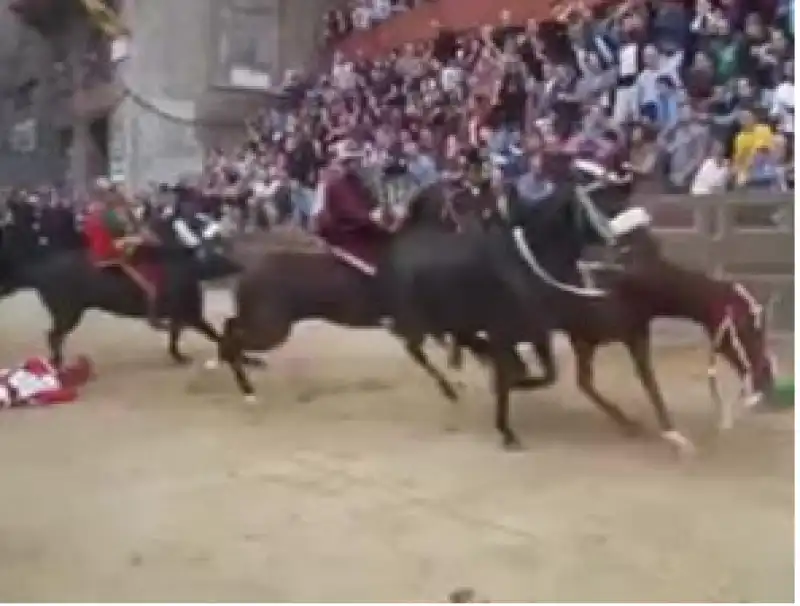 palio siena