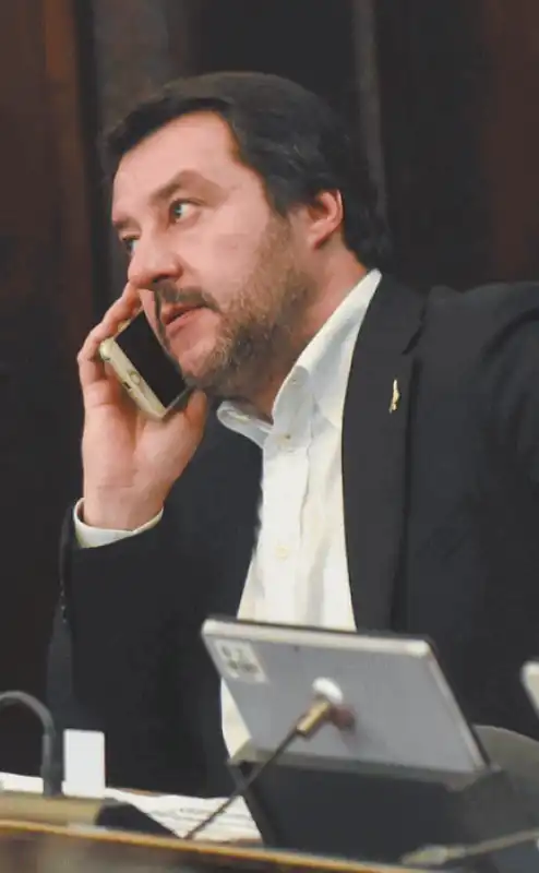 salvini