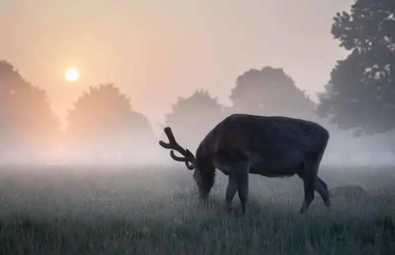 world photography awards 5