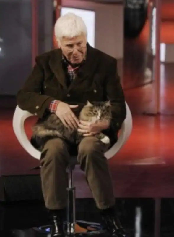 beppe bigazzi e il gatto 1