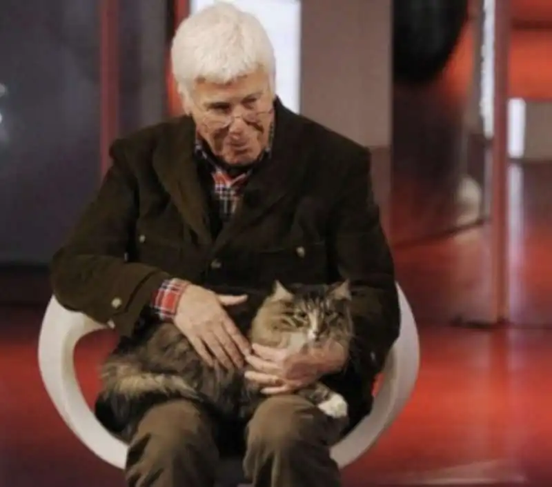 beppe bigazzi e il gatto