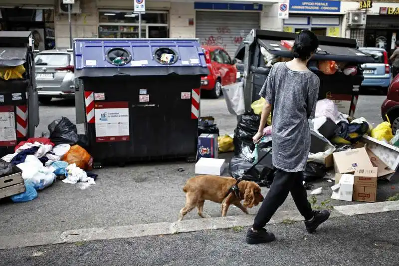 cassonetti ricolmi di rifiuti a roma 37