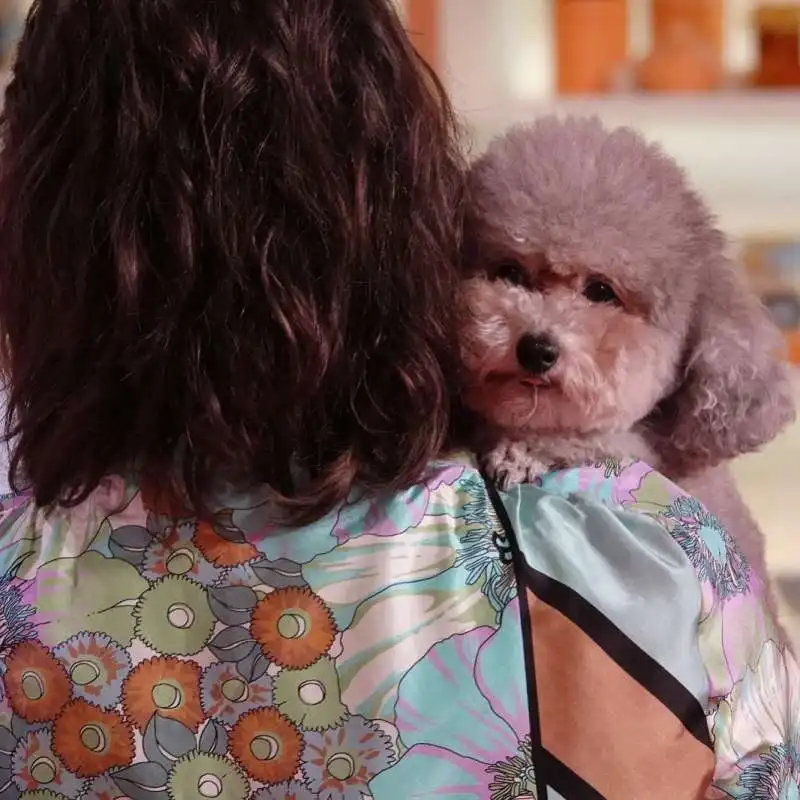 elisa isoardi e il cane zenit 9