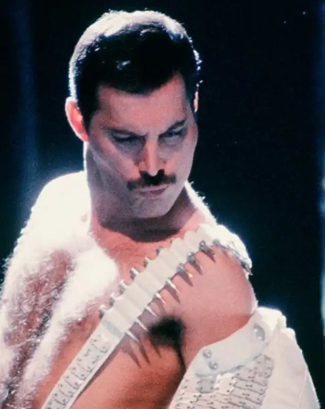 freddie mercury