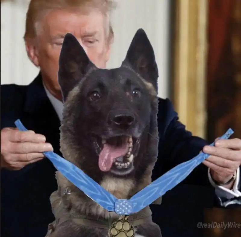 IL FOTOMONTAGGIO DI TRUMP CHE DA' UNA MEDAGLIA AL CANE CONAN