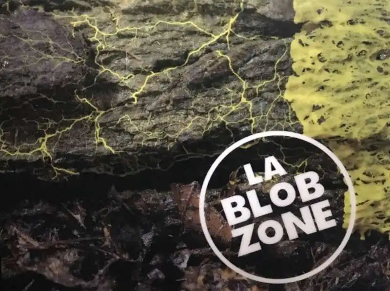 il misterioso blob dello zoo di parigi 3