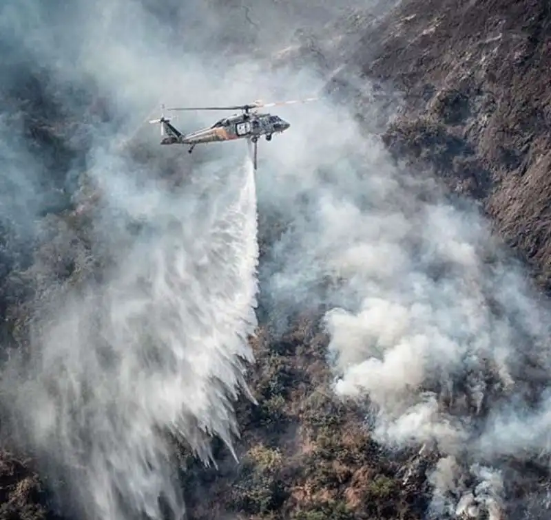 incendi in california 11