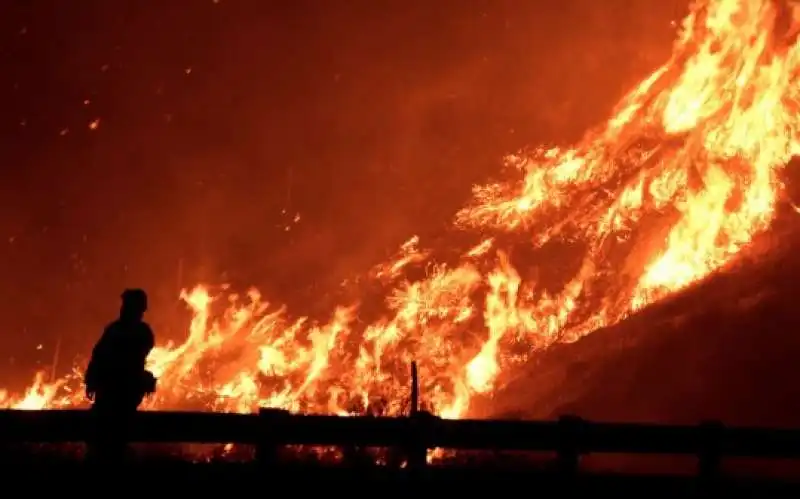 incendi in california 3