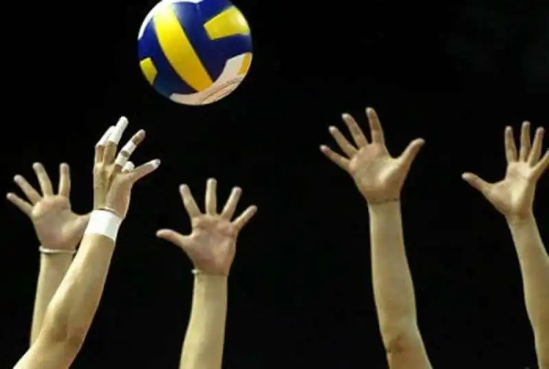 pallavolo 3