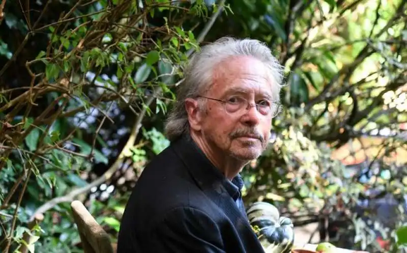 peter handke  5