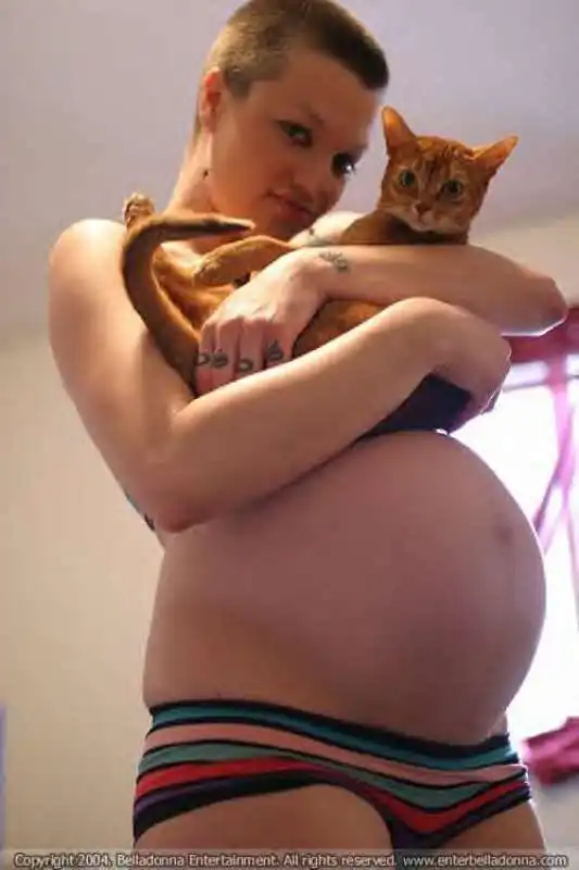 pregnant porn belladonna 2