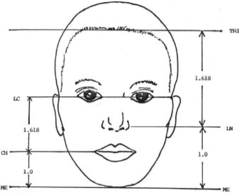 Как измерить пропорции лица на фото