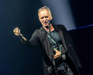 sting