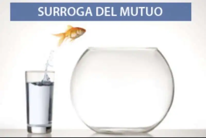 surroga mutuo