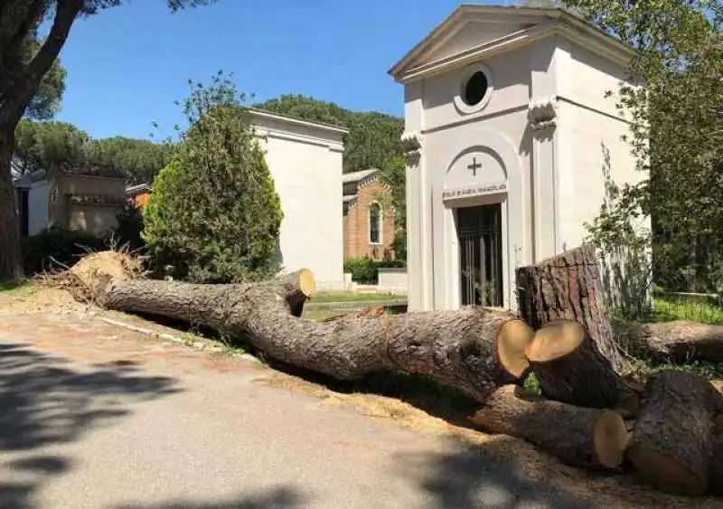 cimitero flaminio   prima porta 