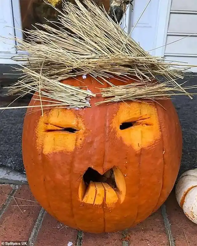 donald trump in versione zucca 15