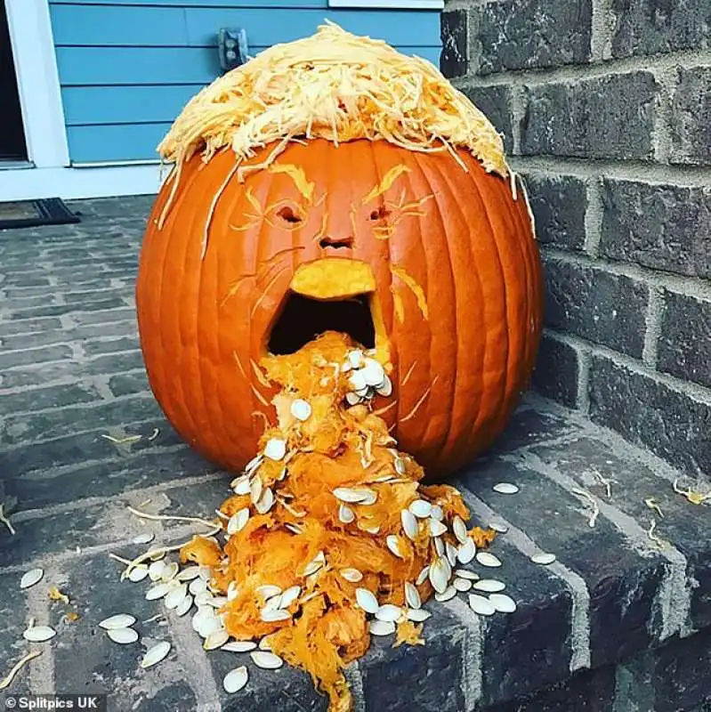 donald trump in versione zucca 3