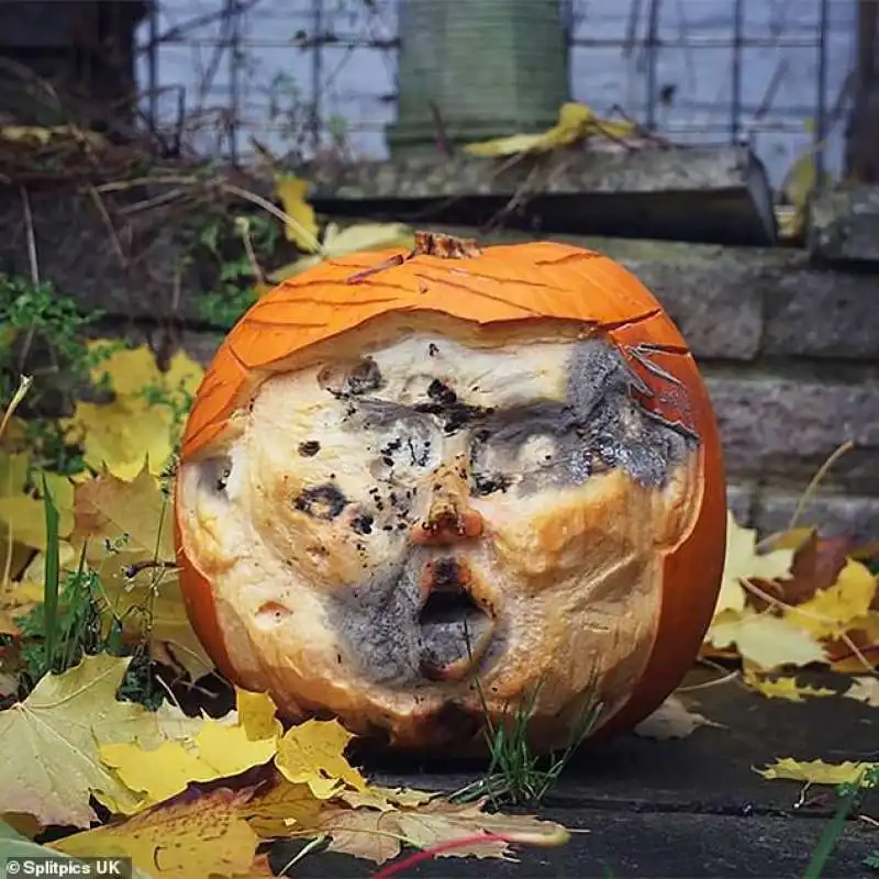 donald trump in versione zucca 5