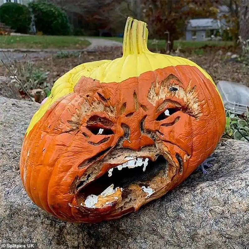 donald trump in versione zucca 7