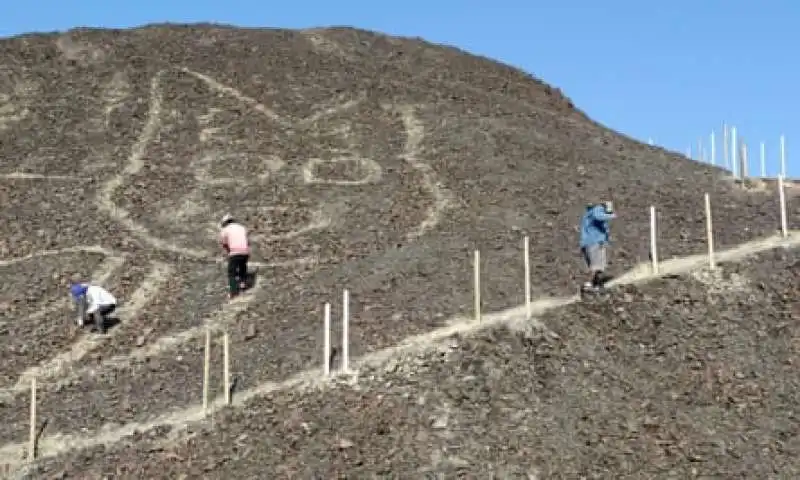 gatto linee di nazca 1