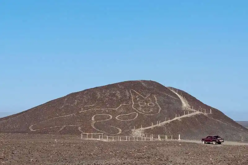 gatto linee di nazca 4