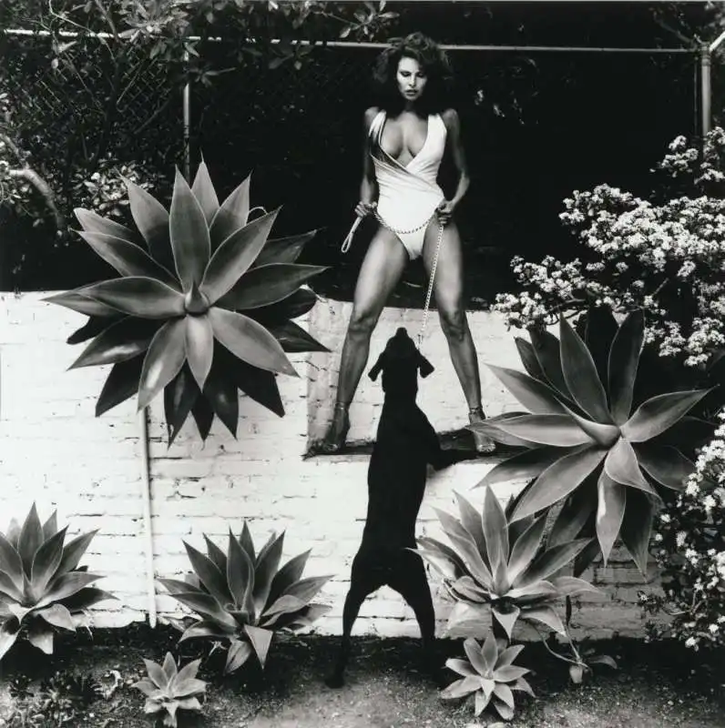 helmut newton 20