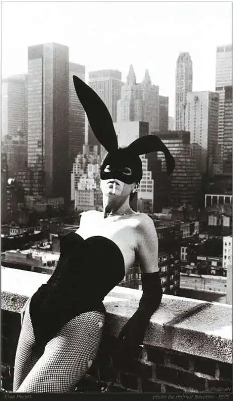 helmut newton 33