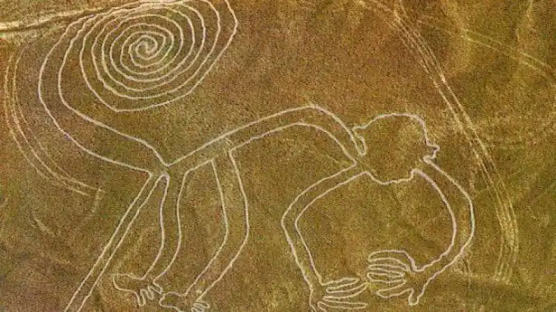 linee di nazca 3