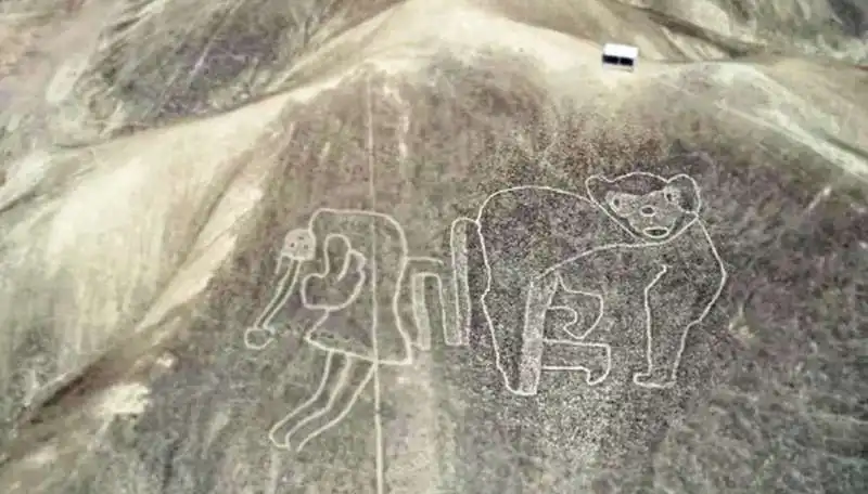 linee di nazca 5