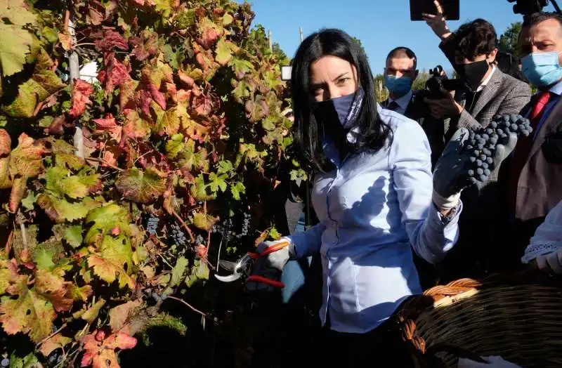 lucia azzolina a frosinone per la vendemmia 1