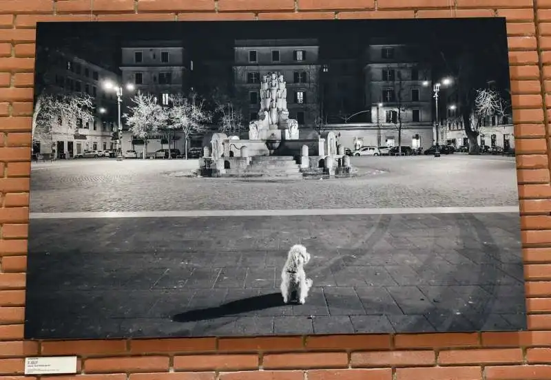 mostra fotografica di alessandro montanari  foto di bacco (3)