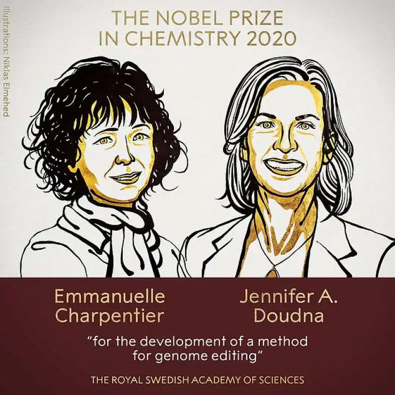 premeio nobel per la chimica 2020   emmanuelle charpentier jennifer doudna