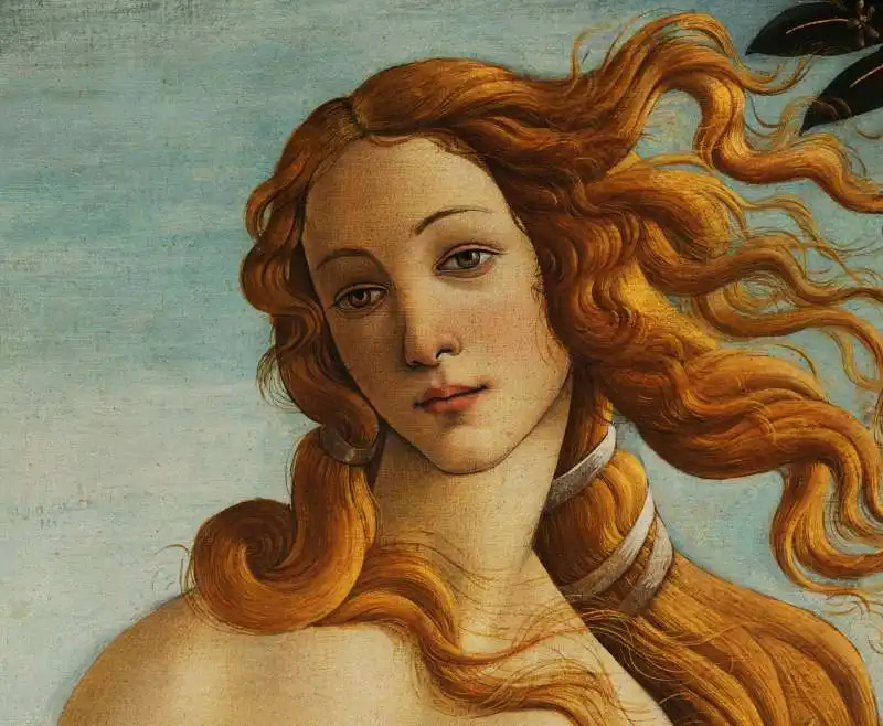 simonetta cattaneo botticelli 1