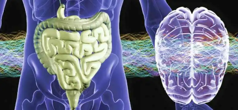 sindrome dell'intestino irritabile  4